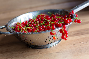 Similar image 21665479