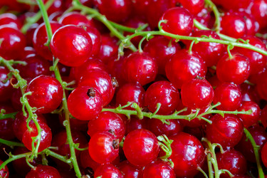 Similar image 21665480