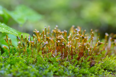 Similar image 21664167