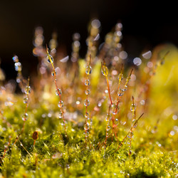 Similar image 21664168