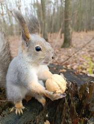 Similar image 21665490