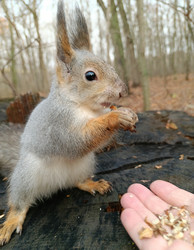 Similar image 21665491