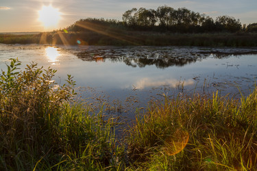 Similar image 21665493