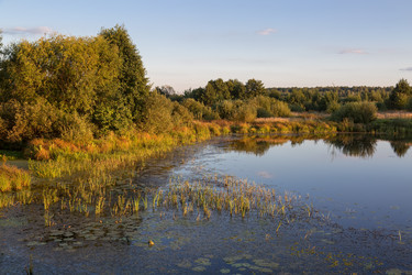 Similar image 21665494