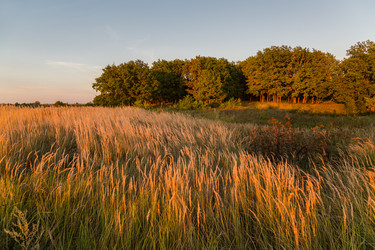 Similar image 21665495