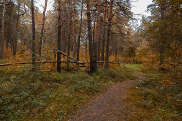 Similar image 21665497