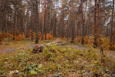 Similar image 21665498