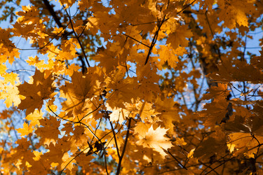 Similar image 21665499