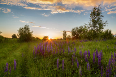 Similar image 21665502