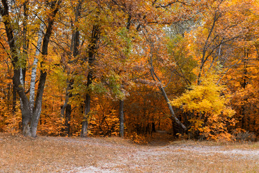 Similar image 21665504