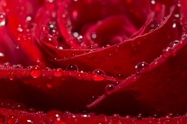 Similar image 21665506