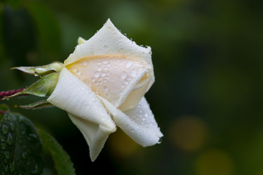 Similar image 21665509