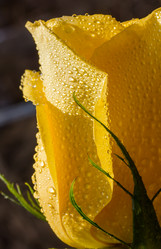 Similar image 21665511