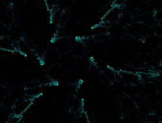 Similar image 21668229