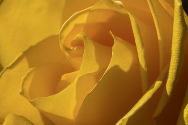 Similar image 21665512