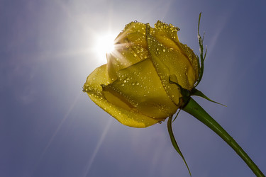 Similar image 21665513