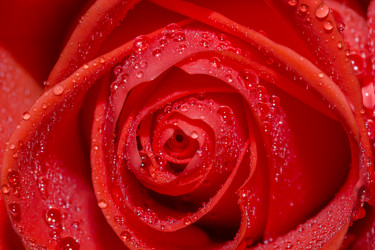 Similar image 21665516