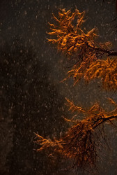 Similar image 21668332