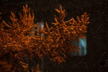 Similar image 21668333