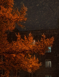 Similar image 21668334