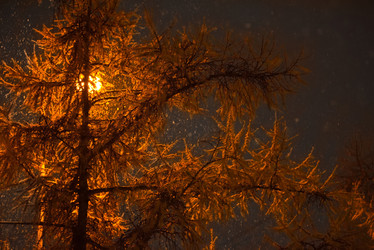 Similar image 21668335