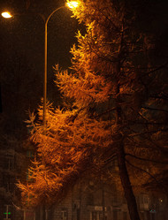 Similar image 21668336