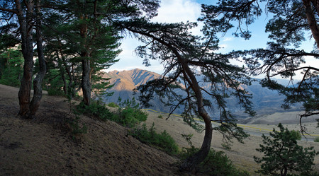 Similar image 21665526