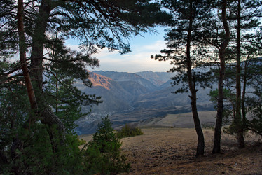 Similar image 21665528