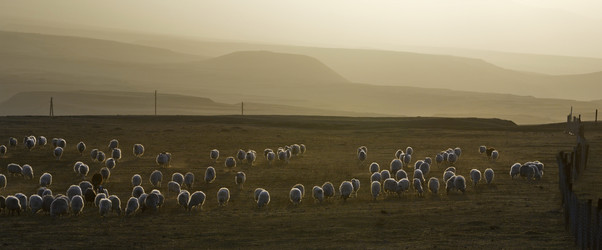 Similar image 21668340