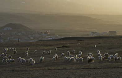 Similar image 21668341