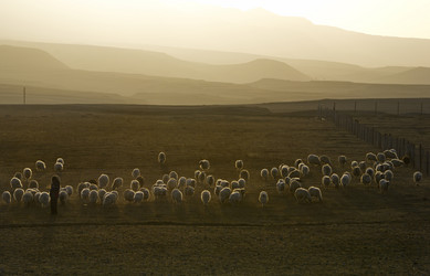 Similar image 21668342