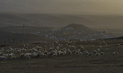 Similar image 21668343