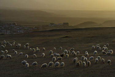 Similar image 21668344