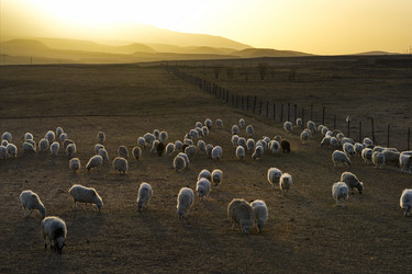 Similar image 21668345