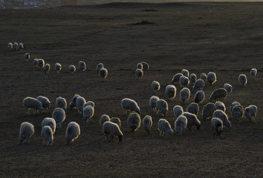 Similar image 21668346