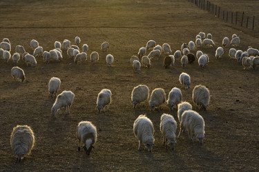 Similar image 21668347