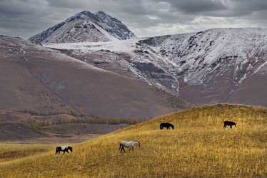 Similar image 21669112