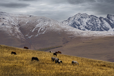 Similar image 21669113