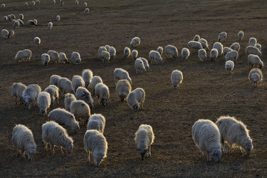 Similar image 21668348