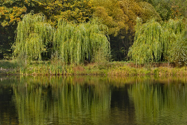 Similar image 21669118