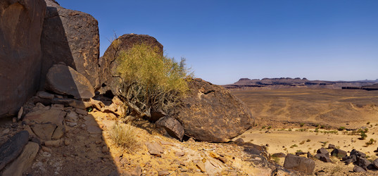 Similar image 21672102