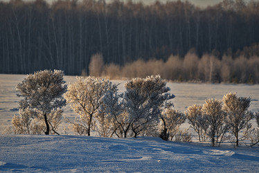 Similar image 21673239