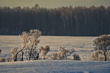 Similar image 21673240