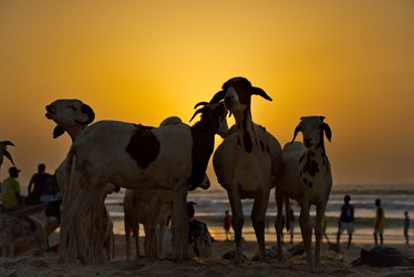 Similar image 21673241