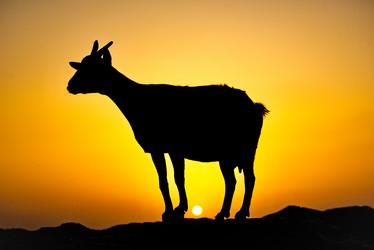 Similar image 21673260