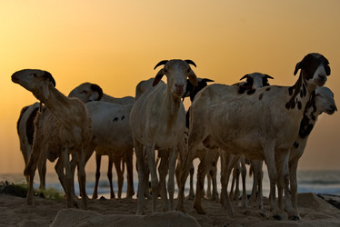 Similar image 21673261