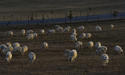 Similar image 21668349