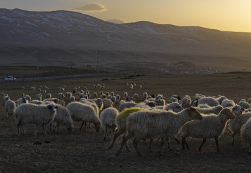 Similar image 21668351