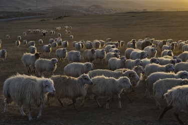 Similar image 21668352