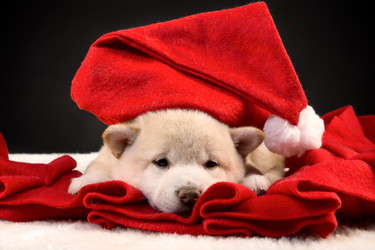 Similar image 21665589